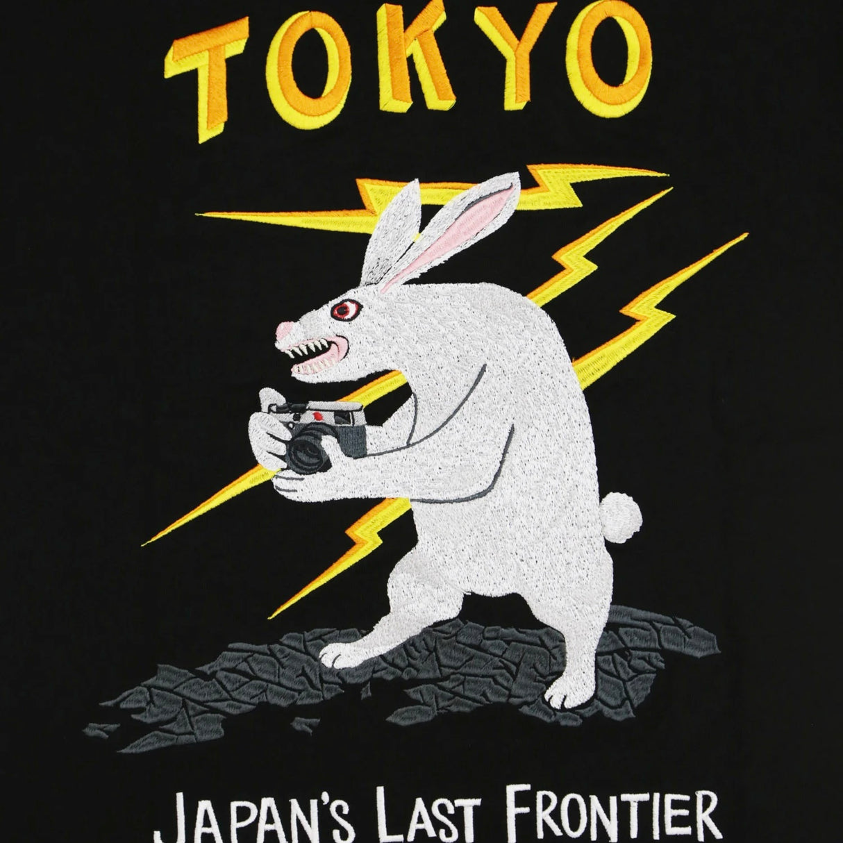 FR2 Fxxking Rabbits Tokyo Embroidery Souvenir Tee Black FR2 FR2 - originalfook singapore