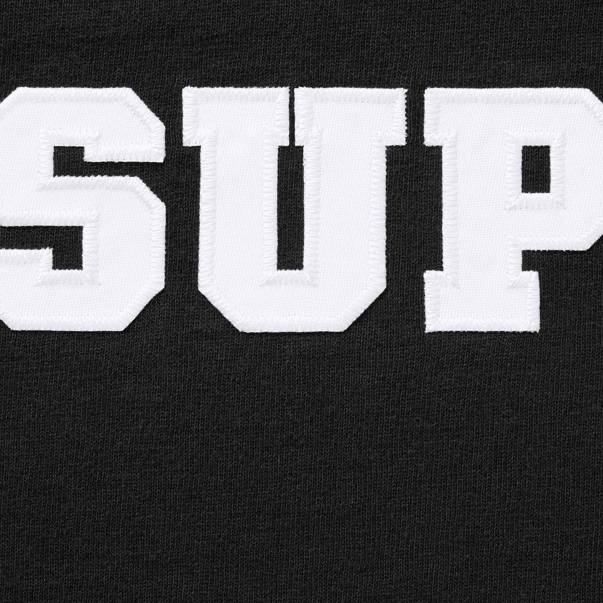 Supreme Collegiate Applique Logo Tee Black