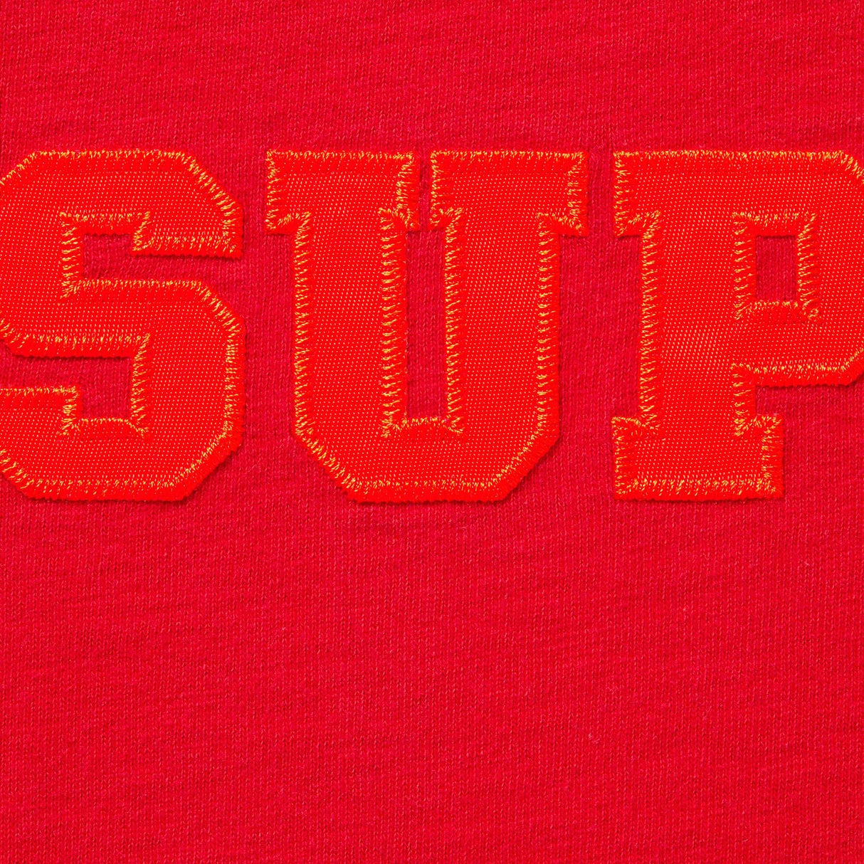 Supreme Collegiate Applique Logo Tee Red