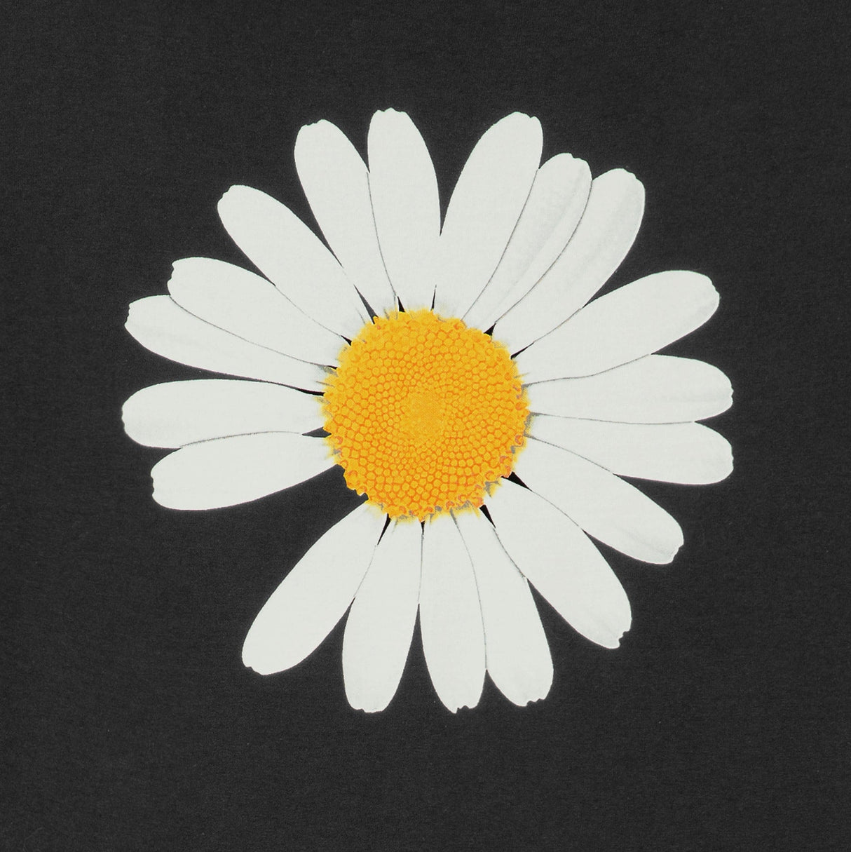 PEACEMINUSONE X HB 20th Anniversary Tee Black - ORIGINALFOOK