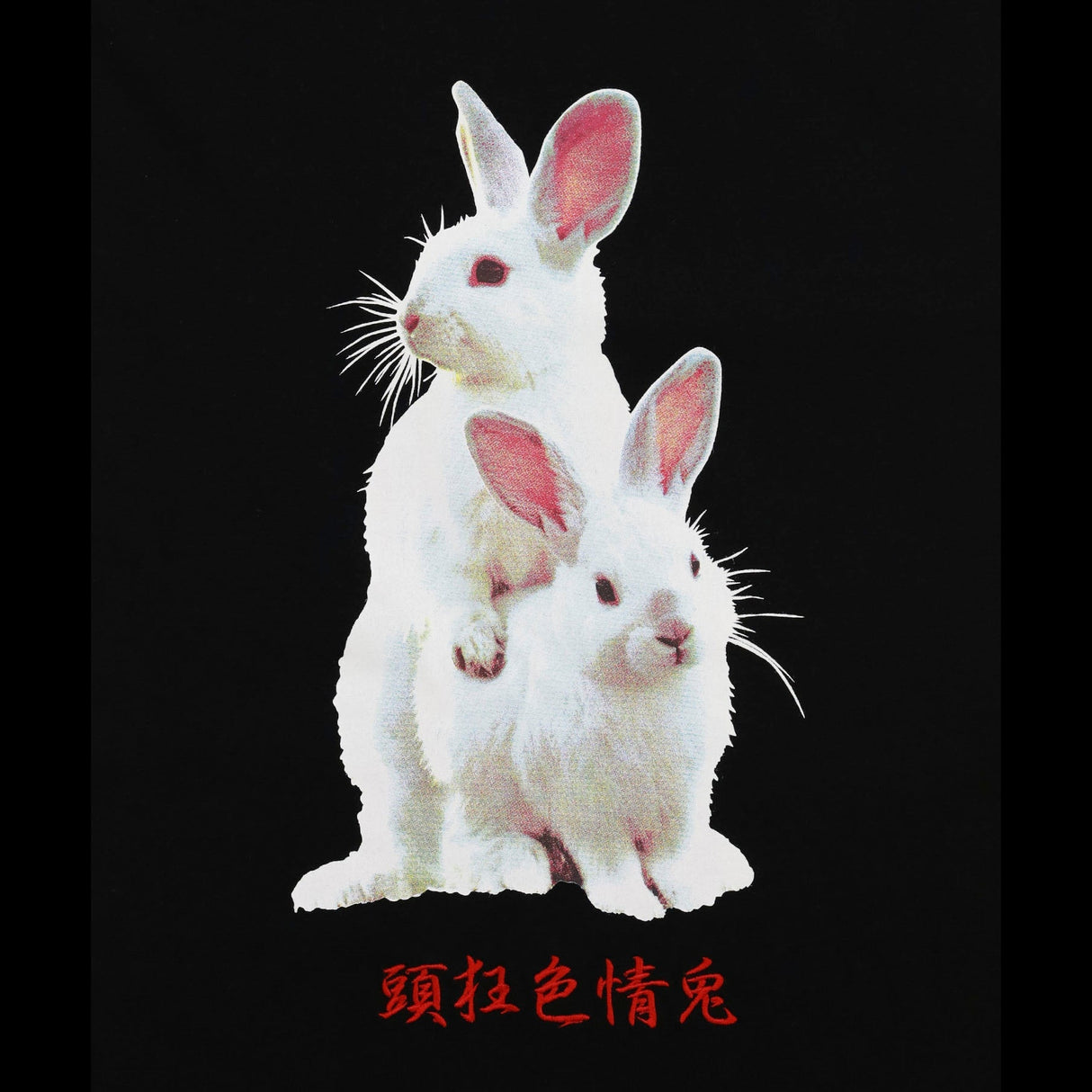FR2 Fxxking Rabbits Photo Tee Black