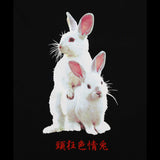 FR2 Fxxking Rabbits Photo Tee Black